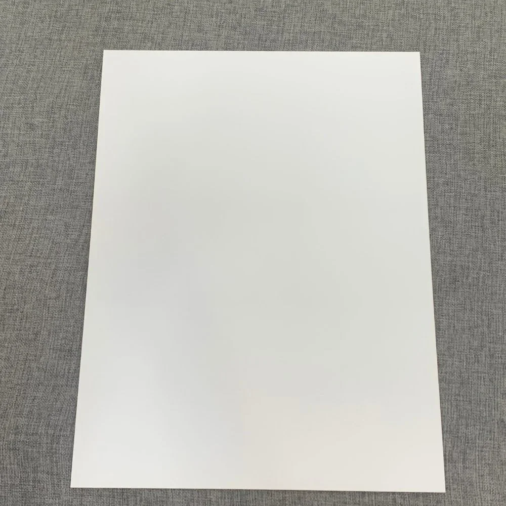 Brand New!‎ Sabertooth Tiger  3D Lenticular Poster 11.5